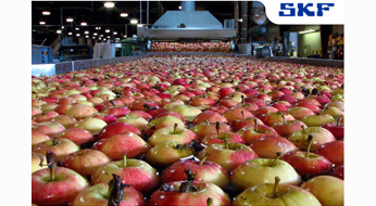SKF y seguridad alimentaria