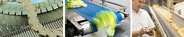 cintas y bandas transportadoras ammeeral beltech